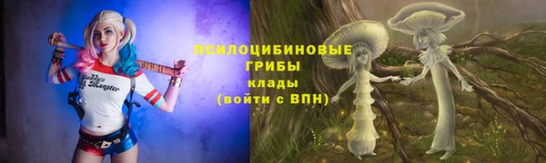 spice Алексин