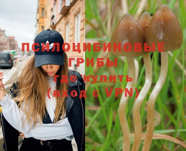 твердый Алзамай